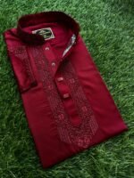 Embroidery Panjabi